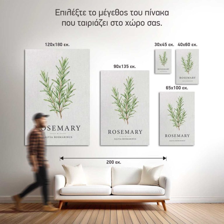 Σύγκριση των πέντε διαθέσιμων διαστάσεων του πίνακα Δεντρολίβανο σε τοίχο κουζίνας