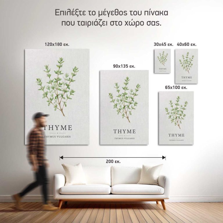 Σύγκριση των πέντε διαθέσιμων διαστάσεων του πίνακα Θυμάρι σε τοίχο κουζίνας