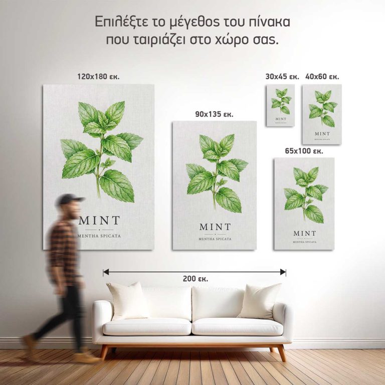 Σύγκριση των πέντε διαθέσιμων διαστάσεων του πίνακα Μέντα σε τοίχο κουζίνας