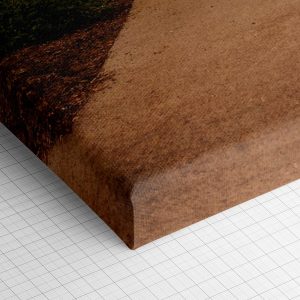 Λεπτομέρεια γωνίας του καμβά «Μονοπάτι Πάρκου στο Σαν Φρανσίσκο» — τυπωμένο πλαϊνό και ύφανση βαμβακερού καμβά