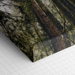 Λεπτομέρεια γωνίας του καμβά «Ομιχλώδεις Σεκόγιες» — τυπωμένο πλαϊνό και ύφανση βαμβακερού καμβά