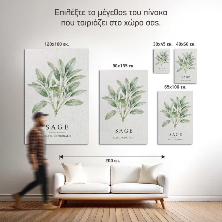 Σύγκριση των πέντε διαθέσιμων διαστάσεων του πίνακα Φασκόμηλο σε τοίχο κουζίνας
