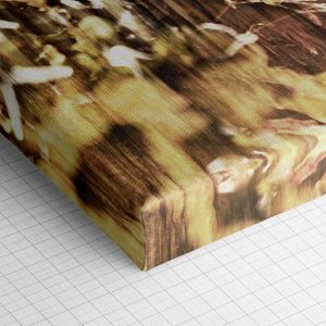 Λεπτομέρεια γωνίας του καμβά «Χρυσός Φθινοπωρινός Ιστός» — τυπωμένο πλαϊνό και ύφανση βαμβακερού καμβά