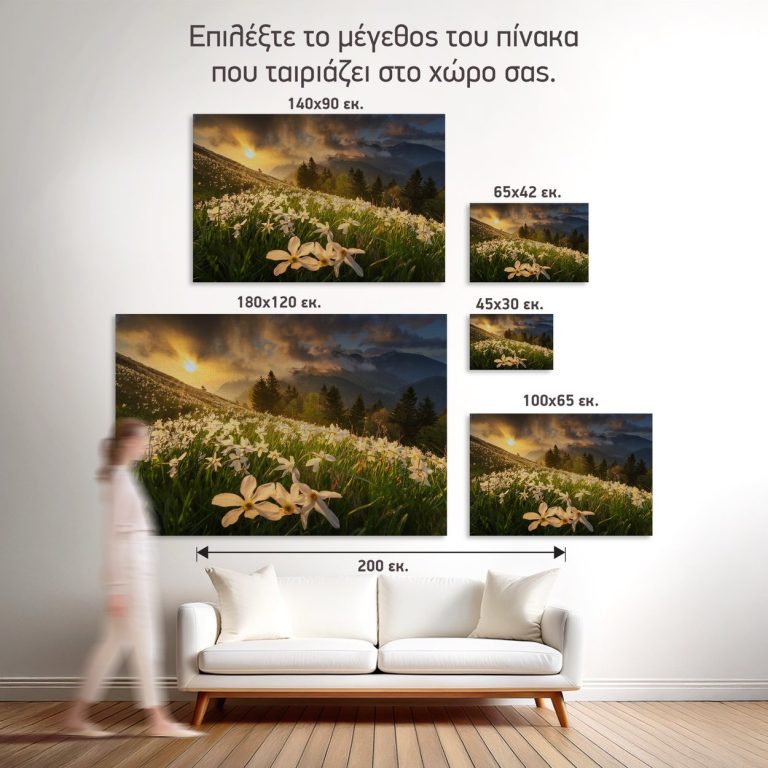 Σύγκριση των πέντε διαθέσιμων διαστάσεων του πίνακα «Νάρκισσοι στο Λιβάδι του Βουνού» σε τοίχο σαλονιού