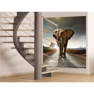 Φωτοταπετσαρία Τοίχου Ελέφαντας - A&G Design Group - Decotek FTL 1614-63391