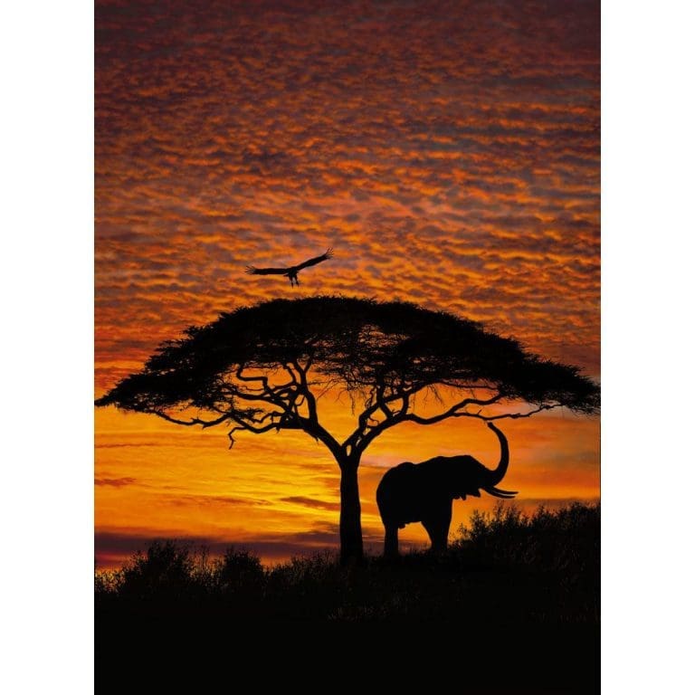 Φωτοταπετσαρία Τοίχου Ηλιοβασίλεμα στην Αφρική - Komar - Decotek 4-501-0