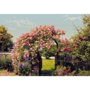 Φωτοταπετσαρία Τοίχου ο Κήπος των Λουλουδιών - Komar - Decotek 8-936-0