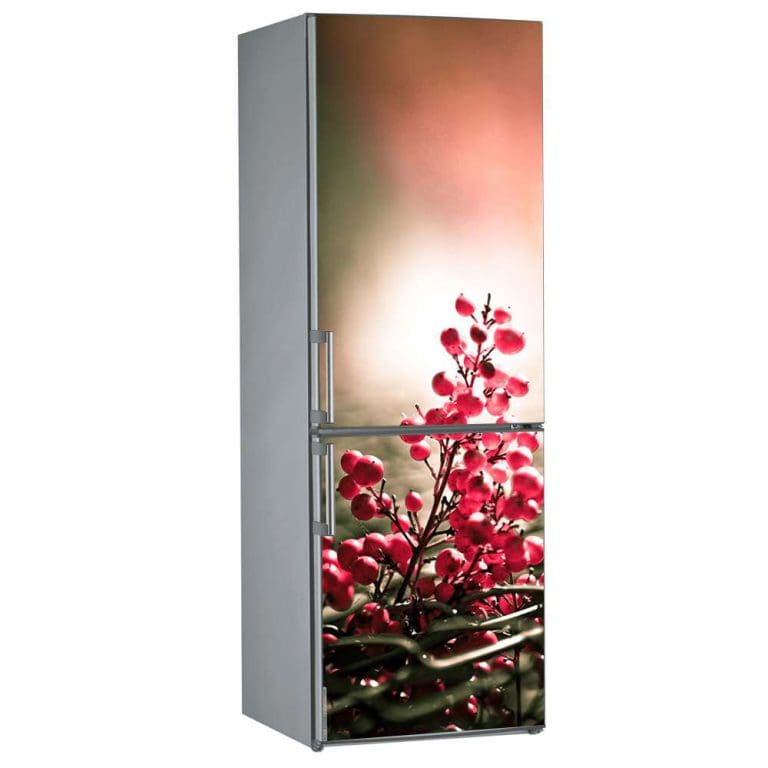 Αυτοκόλλητο Ψυγείου Κόκκινο στην Φύση - Decotek 09842-0