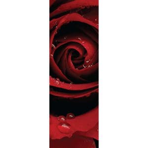 Αυτοκόλλητο Ψυγείου Κόκκινο Τριαντάφυλλο - Decotek 09879-95991