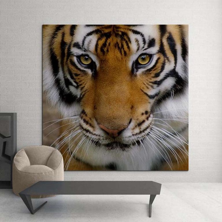 Πίνακας Ζωγραφικής Τίγρης - Decotek 11029-0