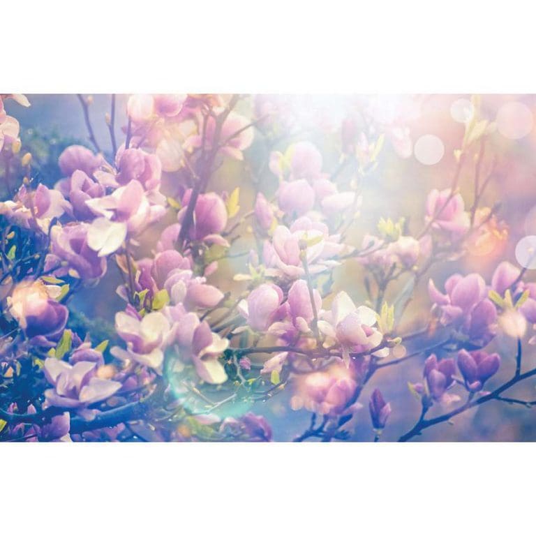 Πίνακας Ζωγραφικής Λουλούδια - Decotek 13591-106444