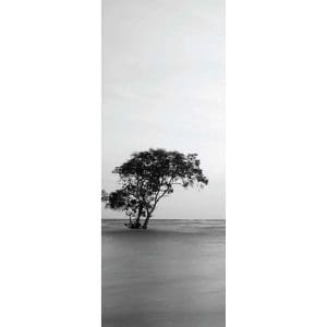 Αυτοκόλλητο Πόρτας Ασπρόμαυρο Δέντρο - Decotek 15116-106377