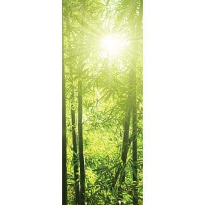 Αυτοκόλλητο Πόρτας Πράσινο Δάσος - Decotek 15139-106342