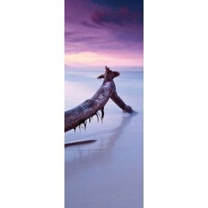 Αυτοκόλλητο Πόρτας Ηλιοβασίλεμα στην Παραλία - Decotek 15142-106329
