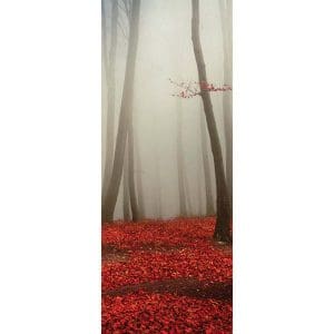 Αυτοκόλλητο Πόρτας Κόκκινο Μονοπάτι στο Δάσος - Decotek 15144-106321