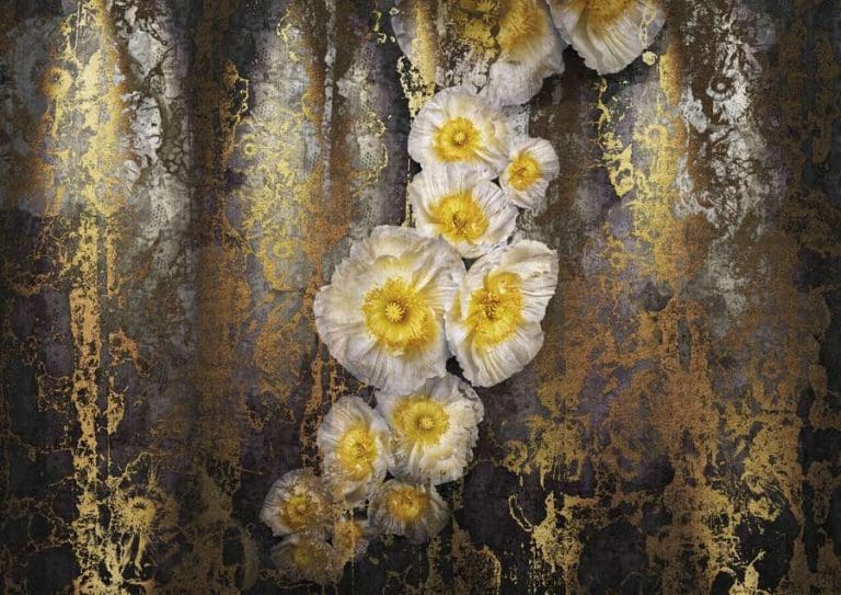 Φωτοταπετσαρία Τοίχου Λουλούδια - Komar - Decotek 8-963-0