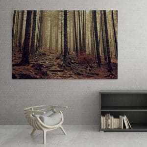 Πίνακας Ζωγραφικής Δάσος - Decotek 16055-0
