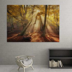 Πίνακας Ζωγραφικής Φθινόπωρο στο Δάσος - Decotek 16089-0