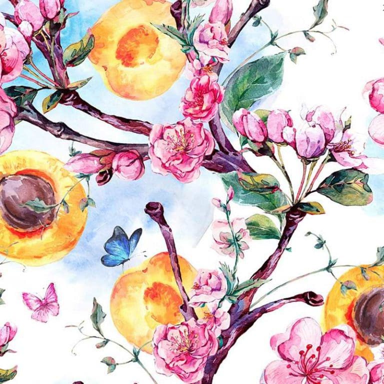 Πίνακας Ζωγραφικής Λουλούδια και Φρούτα - Decotek 17009-120319