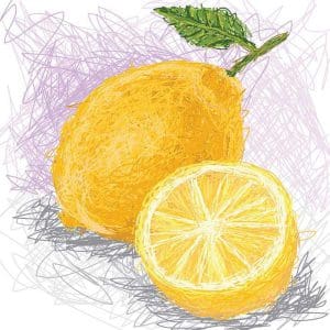 Πίνακας Ζωγραφικής Lemon - Decotek 19266-214606