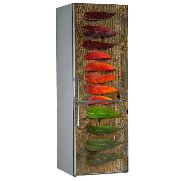 Αυτοκόλλητο Ψυγείου Τα Χρώματα ενός Φύλλου - Decotek 18667-0