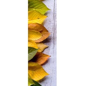Αυτοκόλλητο Ψυγείου Φύλλα Φθινοπώρου - Decotek 19056-122239