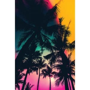 Πίνακας Ζωγραφικής Palm Beach Sunset – Decotek 180542-124334