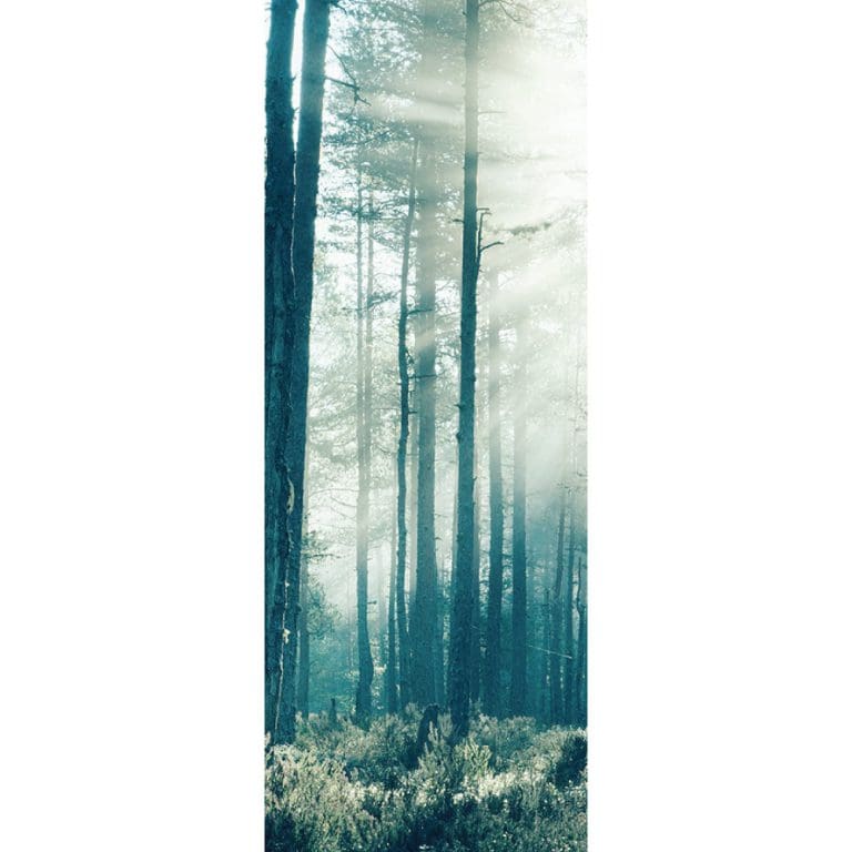 Αυτοκόλλητο Πόρτας Δάσος - Decotek 20141-125536