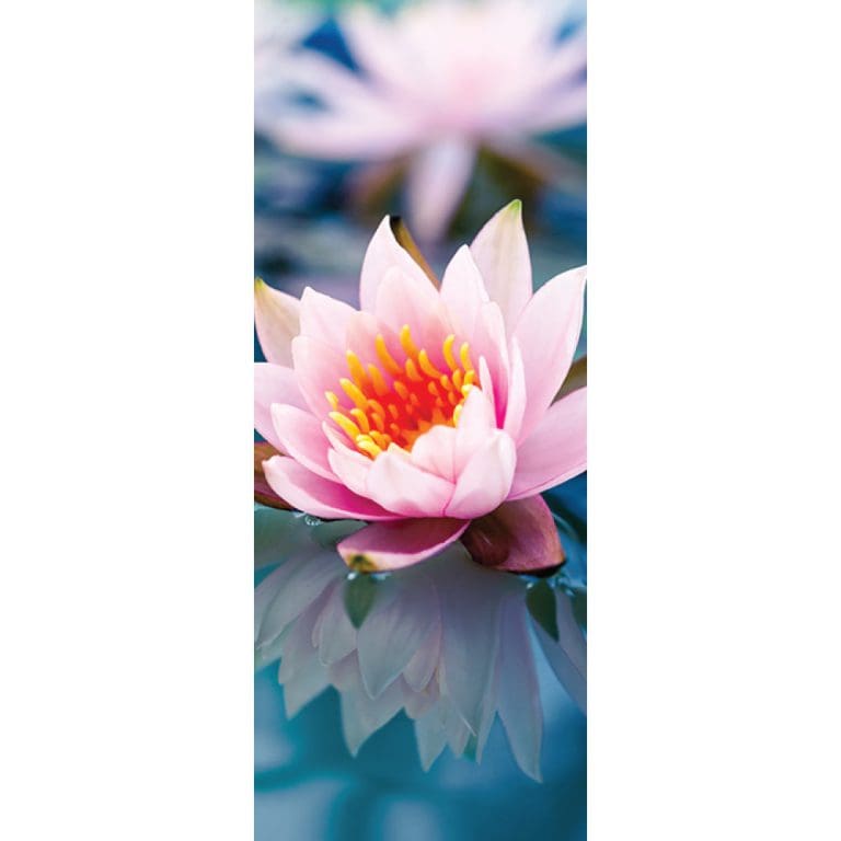 Αυτοκόλλητο Πόρτας Λουλούδι στο Νερό - Decotek 20170-125652