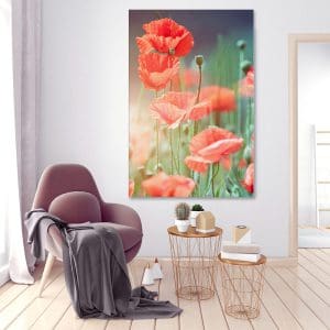 Πίνακας Ζωγραφικής Wild Poppies – Decotek 180563-0