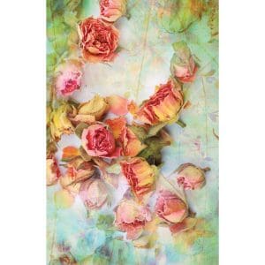 Πίνακας Ζωγραφικής Dry Vintage Roses – Decotek 180583-124667