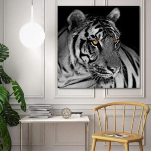 Πίνακας Ζωγραφικης Beautiful Tiger - Decotek 180622-0