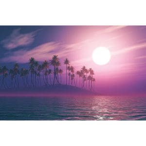Πίνακας Ζωγραφικής Fantasy Palm Sunset - Decotek 180697-124929