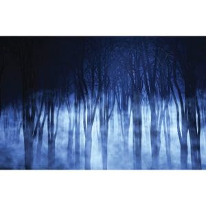 Πίνακας Ζωγραφικής Forest Shadows - Decotek 180699-124937