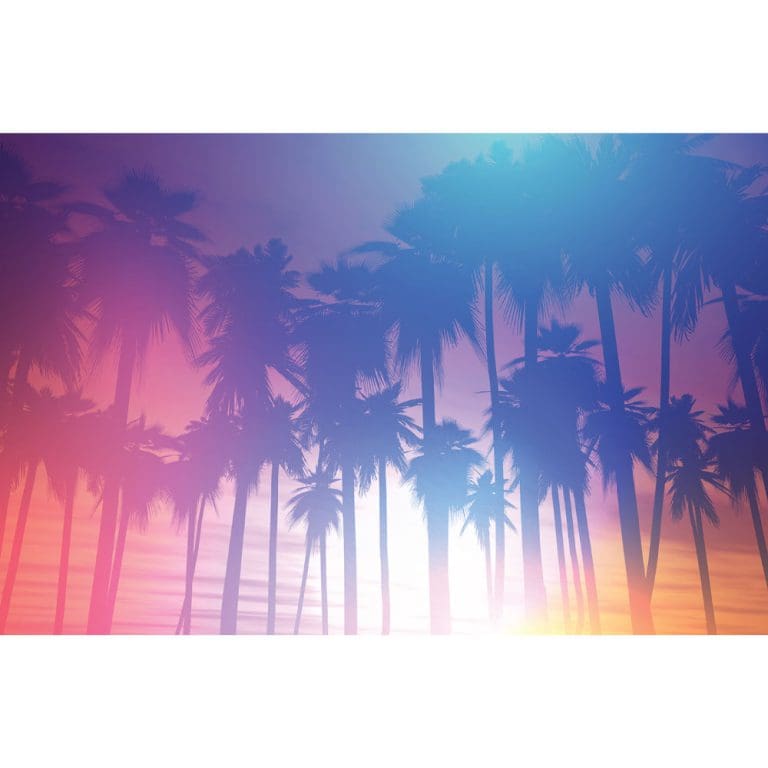 Πίνακας Ζωγραφικής Palm Sunset – Decotek 180719-125045