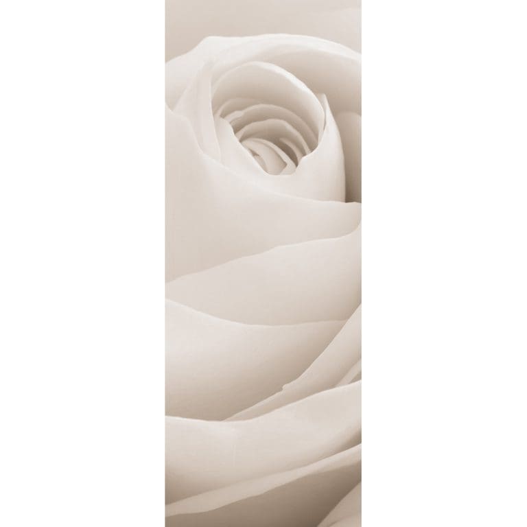 Αυτοκόλλητο Ψυγείου Λευκό Τριαντάφυλλο - Decotek 19212-133234