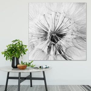 Πίνακας Ζωγραφικής Black and White Abstract Dandelion - Decotek 180823-0