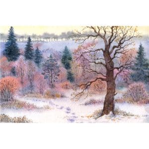 Πίνακας Ζωγραφικής Forest Painting - Decotek 180896-131922