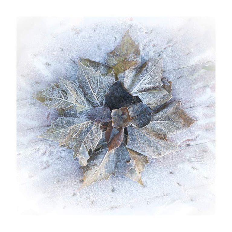 Πίνακας Ζωγραφικής Frozen Leaves - Decotek 180900-131938