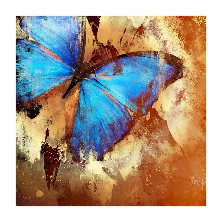 Πίνακας Ζωγραφικής Grunge Butterfly - Decotek 180915-131998