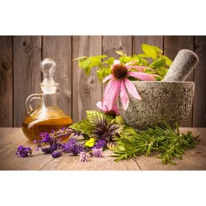 Πίνακας Ζωγραφικής Herbal Aromas - Decotek 180935-132070