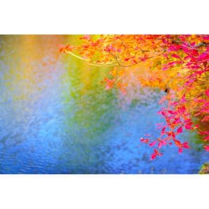 Πίνακας Ζωγραφικής Lake Blossoms - Decotek 180948-132122
