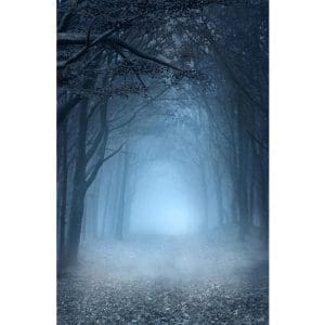 Πίνακας Ζωγραφικής Misty Path in the Woods – Decotek 180976-132234