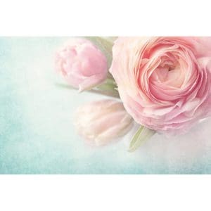 Πίνακας Ζωγραφικής Ροζ Λουλούδια - Decotek 181025-132430