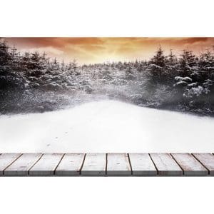 Πίνακας Ζωγραφικής Ηλιοβασίλεμα Μέσα απο Χιονισμένο Τοπίο - Decotek 181110-133018