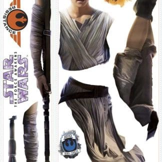 Παιδικό Αυτοκόλλητο Star Wars Rey - Decotek 0719RMK3149GM-142621