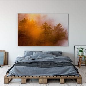 Πίνακας Ζωγραφικής Δάσος με Ομίχλη - Decotek 190997-0