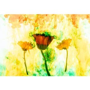 Πίνακας Ζωγραφικής Λουλούδια στο Κίτρινο - Decotek 191030-142942