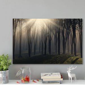 Πίνακας Ζωγραφικής Δέντρα στην Ομίχλη - Decotek 191076-0