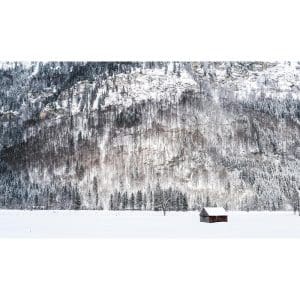 Πίνακας Ζωγραφικής Μικρό Σπίτι στο Χιονισμένο Δάσος - Decotek 191149-143502